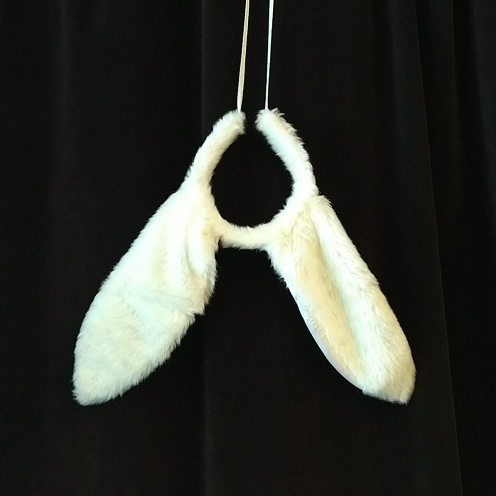 Rabbit ears headband